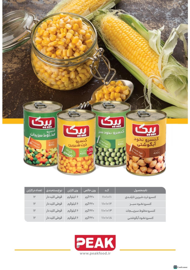 کاتالوگ پیک صفحه 4