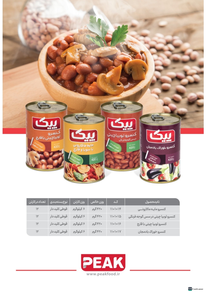 کاتالوگ پیک صفحه 5