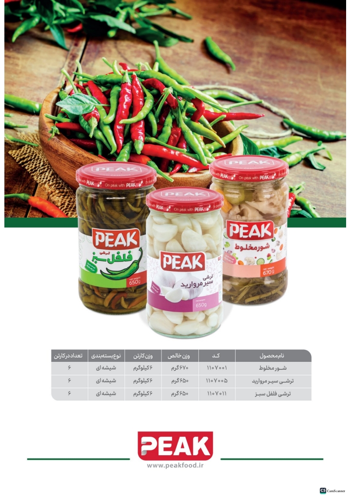 کاتالوگ پیک صفحه 9