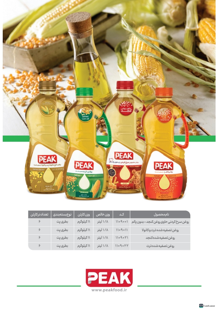 کاتالوگ پیک صفحه 17